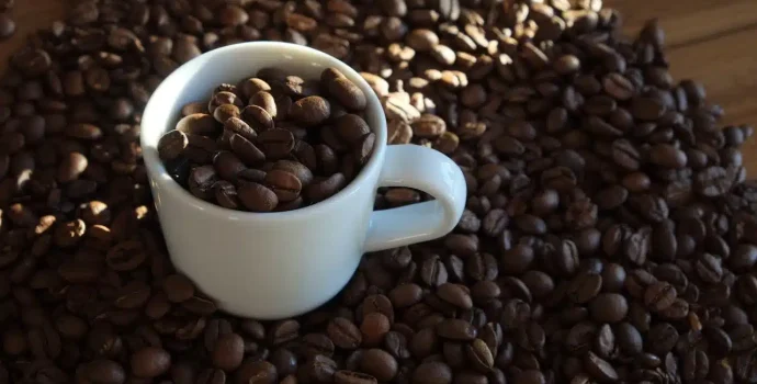 Hvor længe er friskristet kaffe frisk – kaffebønner i hvid kop